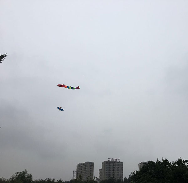 長春網站建設_長春網站制作_長春網站設計_網站建設_網站制作_網站設計_長春app開發(fā)_長春app制作