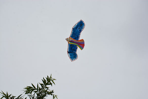 長春網站建設_長春網站制作_長春網站設計_網站建設_網站制作_網站設計_長春app開發(fā)_長春app制作